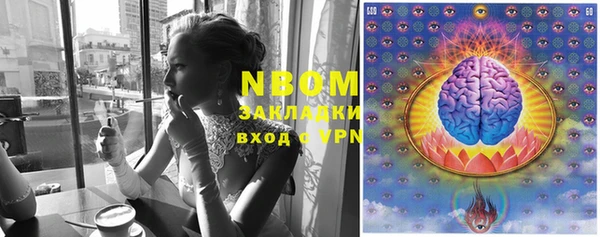 прущие крисы Дмитриев